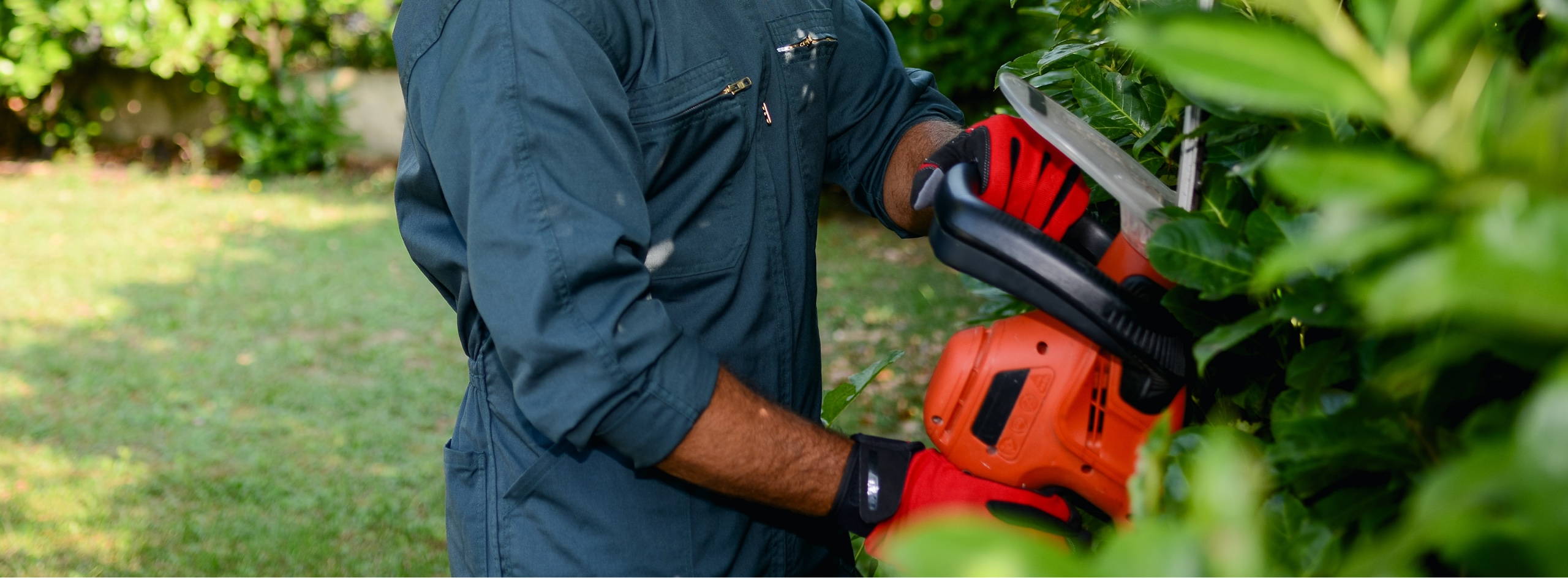 House & Clean Services Gartenunterhalt